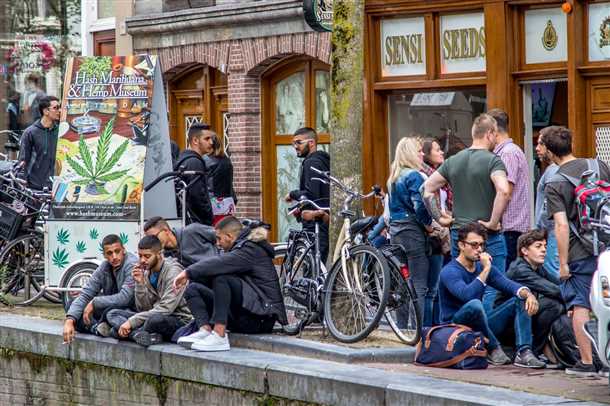 Zašto ići u Amsterdam u siječnju: vrijeme, recenzije turista